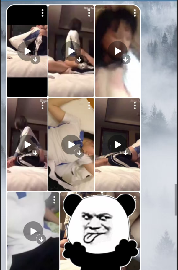 说明